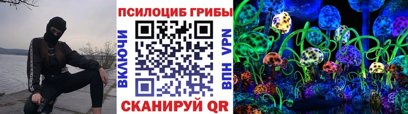 закладка  Алатырь  Галлюциногенные грибы мицелий 